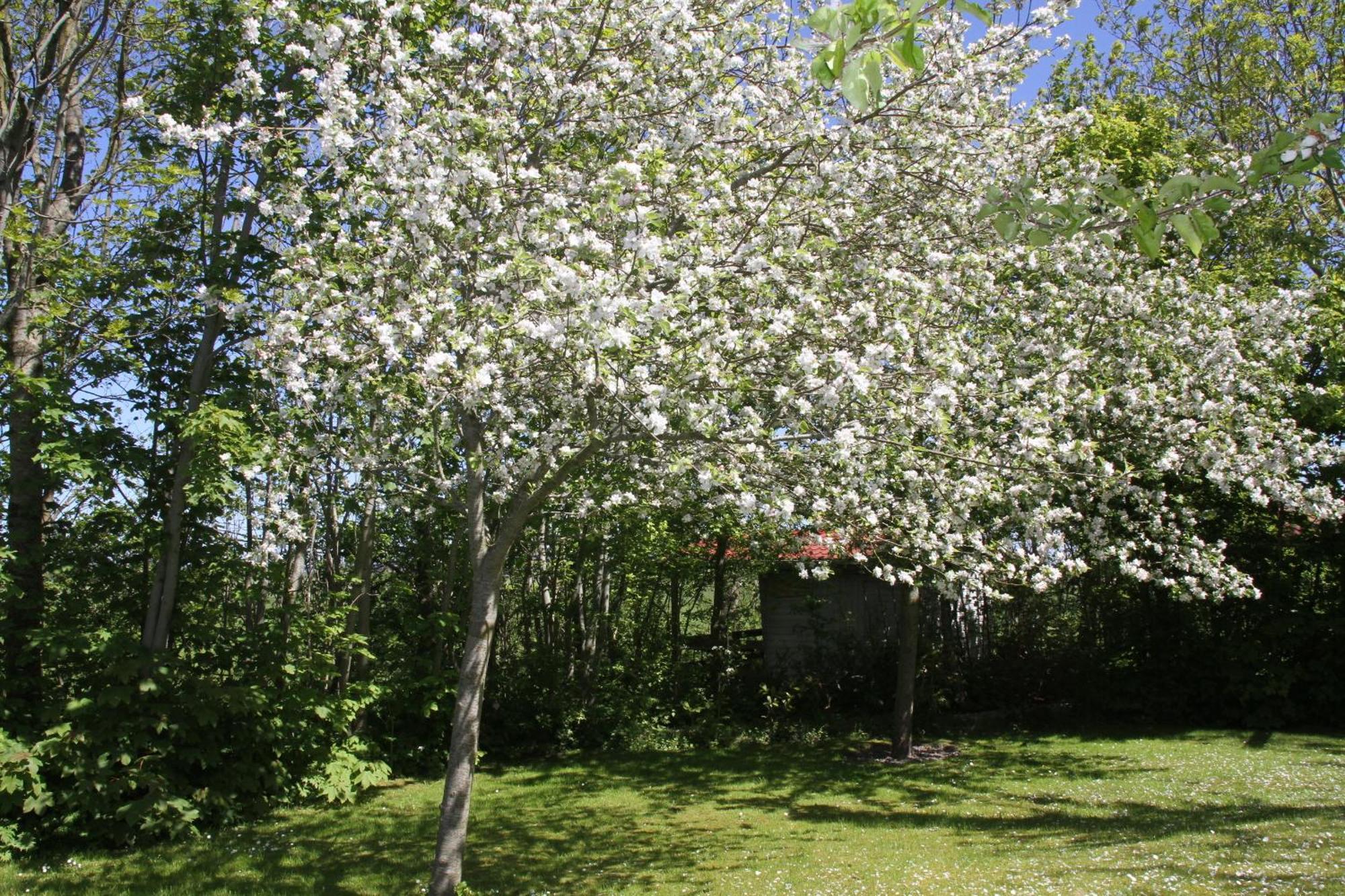 Countryside Eco Natuurhuisjes Ee Zewnętrze zdjęcie