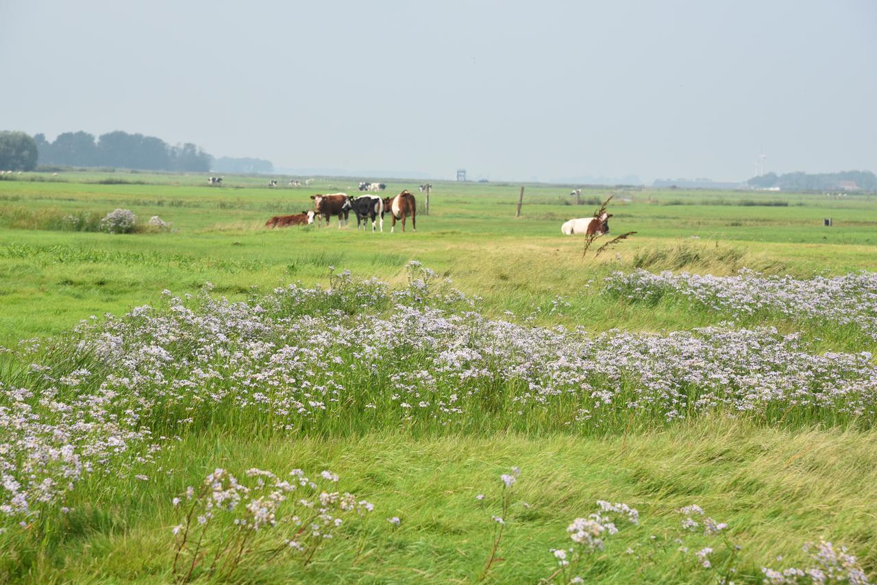 Countryside Eco Natuurhuisjes Ee Zewnętrze zdjęcie