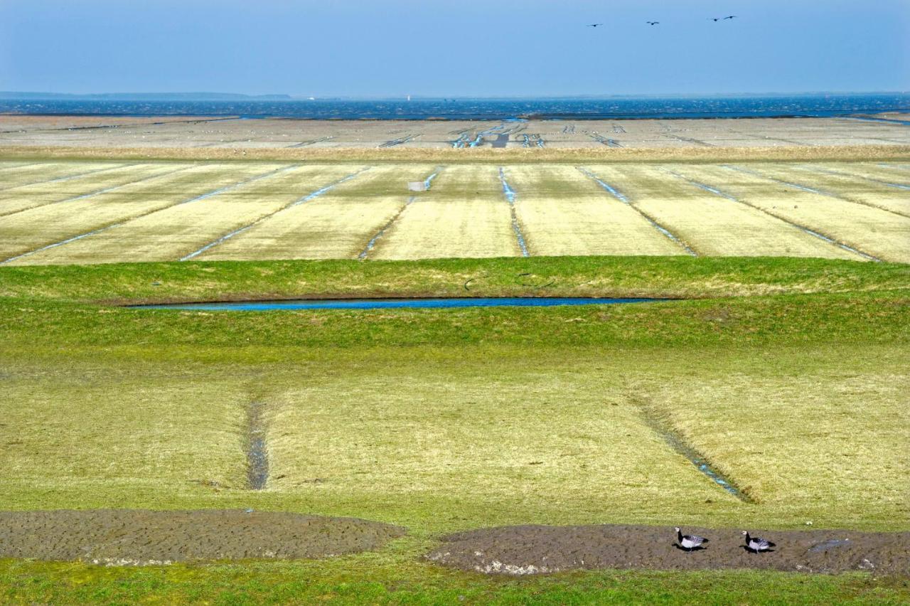 Countryside Eco Natuurhuisjes Ee Zewnętrze zdjęcie