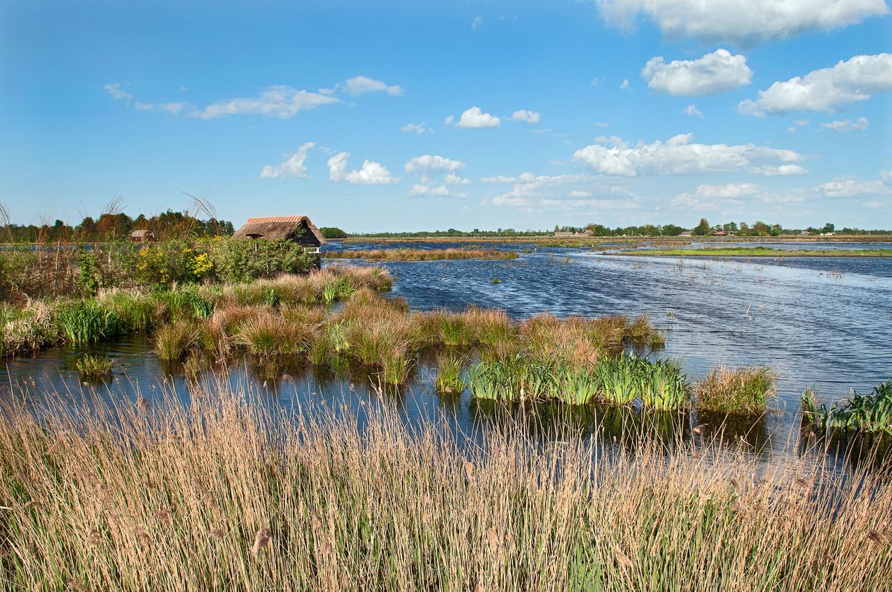 Countryside Eco Natuurhuisjes Ee Zewnętrze zdjęcie