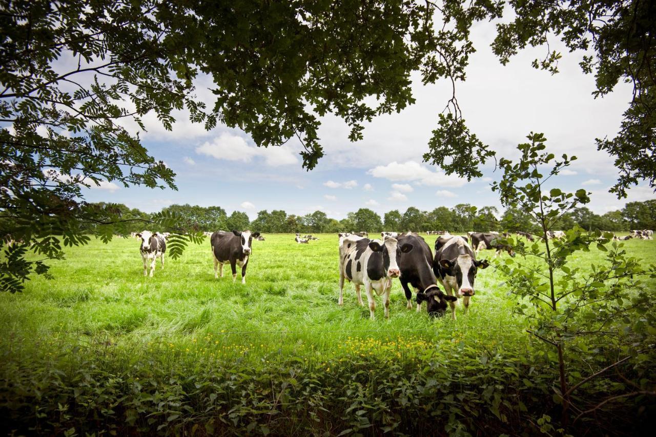 Countryside Eco Natuurhuisjes Ee Zewnętrze zdjęcie
