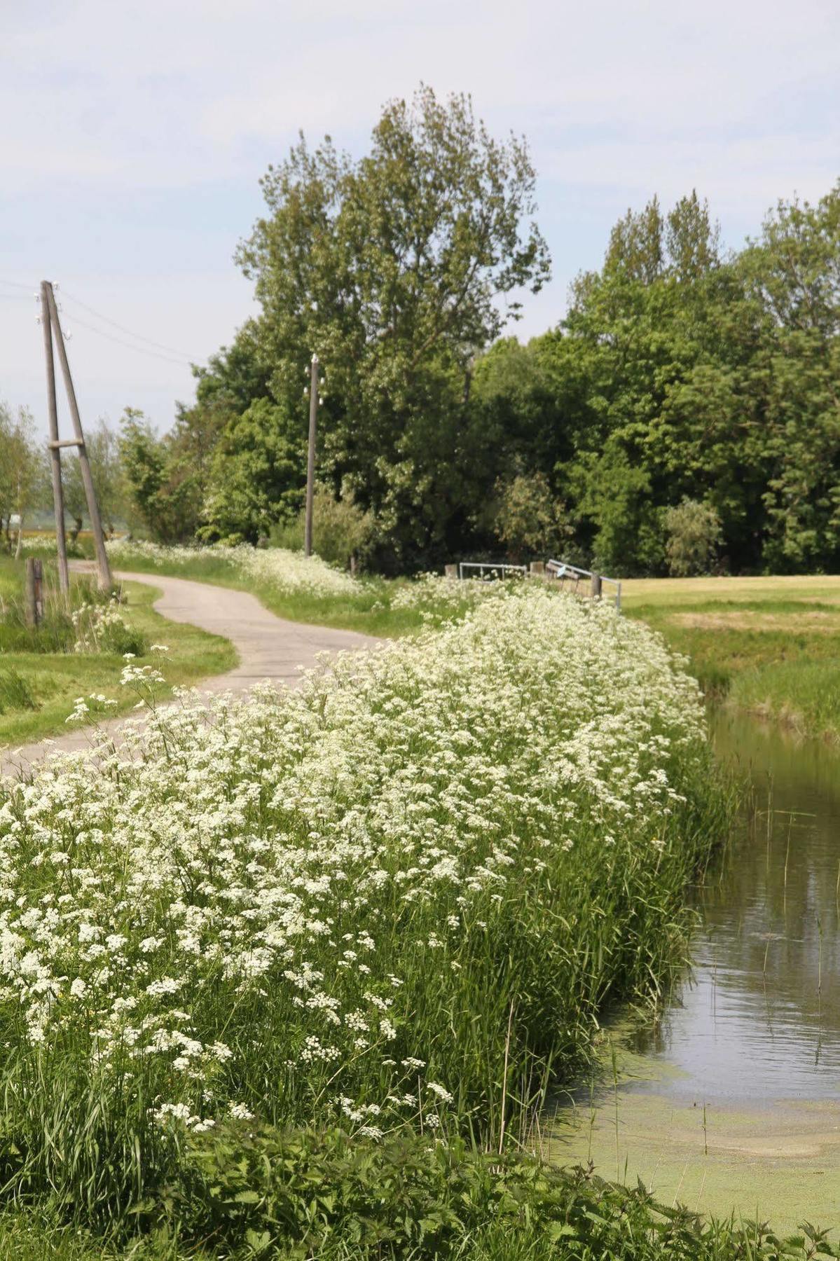Countryside Eco Natuurhuisjes Ee Zewnętrze zdjęcie